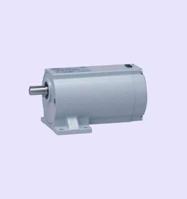 GTR MINI Series gearmotor (15 W to 90 W)