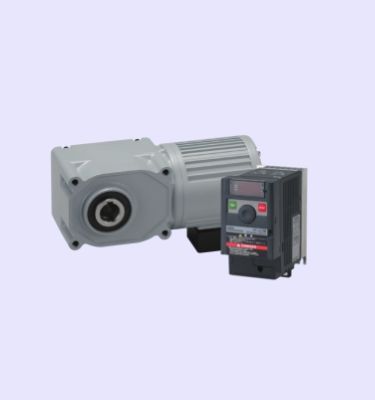 IPM high-efficiency gearmotor