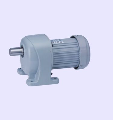 Spur gear reducer GTR gearmotor